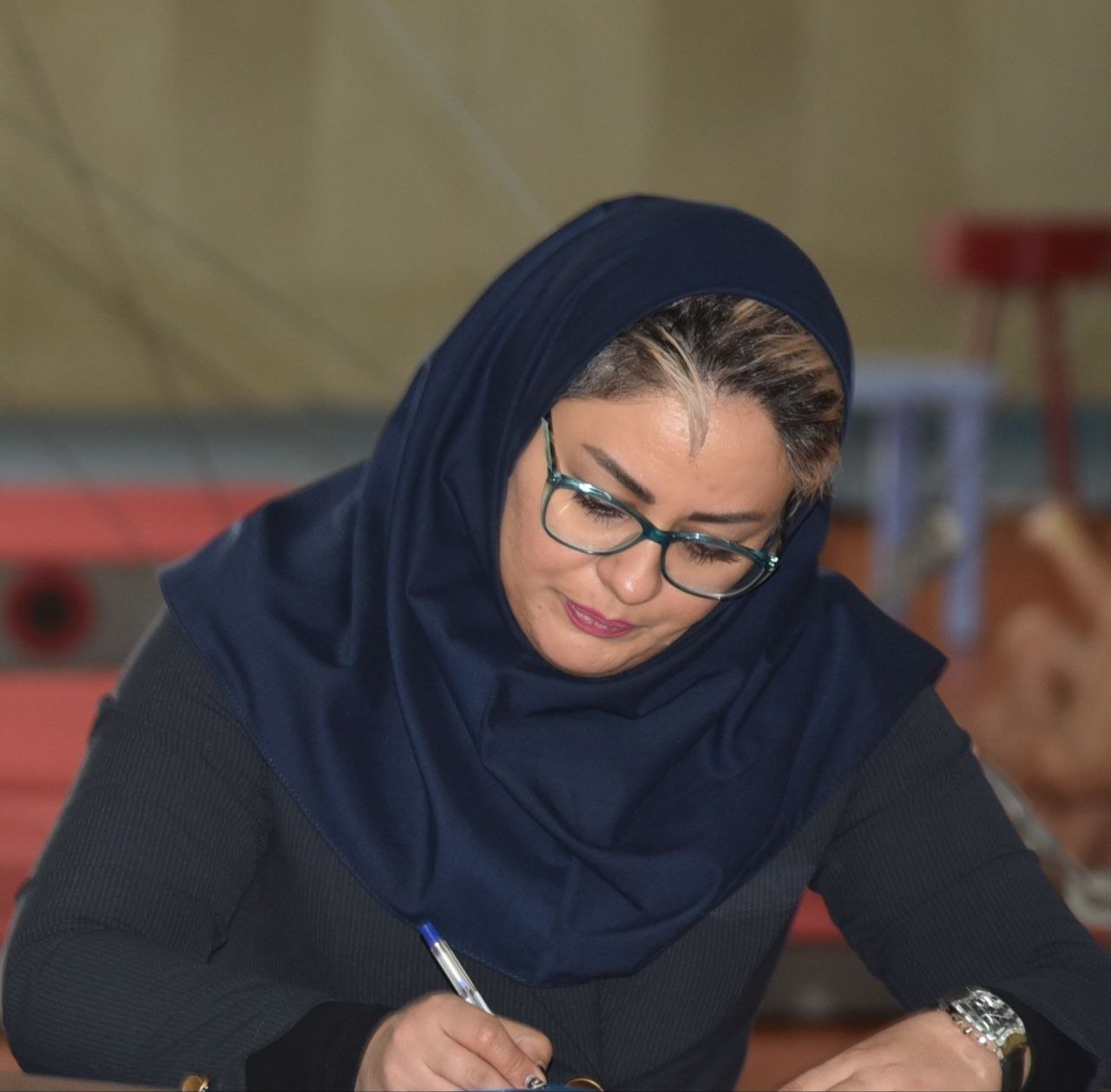 درباره شهر ژیمناستیک