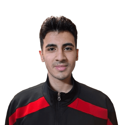 سلمان فردوسی